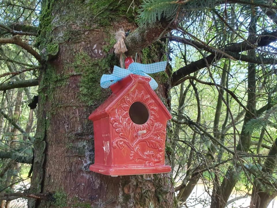Forest Lodge Log Cabin - Ireland Ballyconnell  Exteriör bild